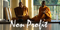 Non Profit Button